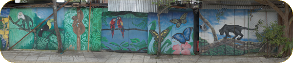 San José